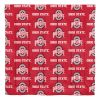 Ohio State University Buckeyes  Rotary Queen Bed In a Bag Set